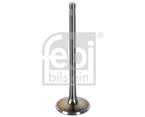 Intake Valve